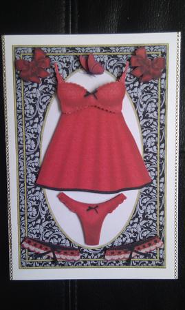 A Present for Hubby Sexy Red Lingerie by Hayley Griffiths
