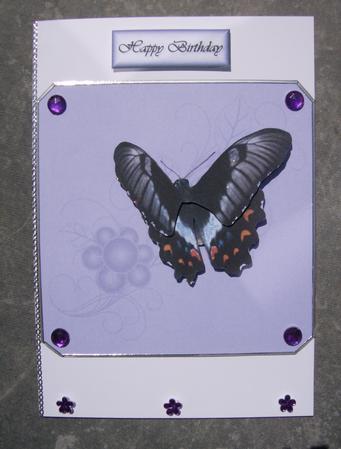 Butterfly Beauty Decoupage Featured Gallery Photo