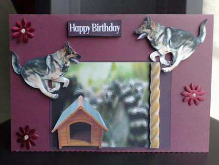 German Shepard Fun by Hayley Griffiths