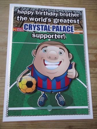 Crystal Palace Football Club Brother by Hayley Griffiths