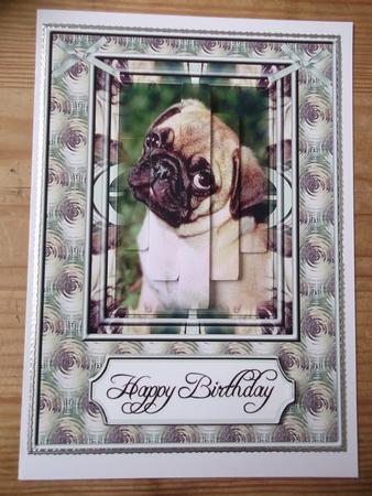 Pug by Hayley Griffiths