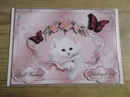 Framed Puss for Various Occasions by Hayley Griffiths
