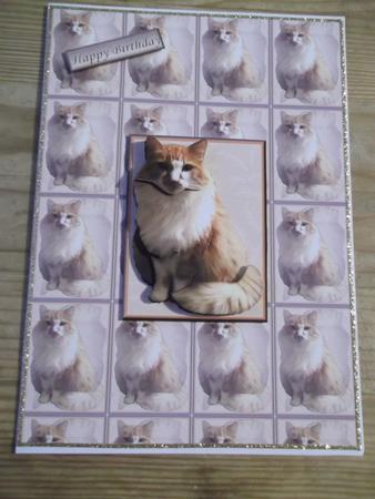 Fluffy Ginger Cat Sat 3D Decoupage with Background by Hayley Griffiths