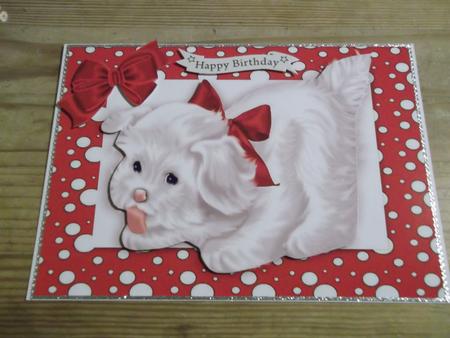 Little White Puppy in Red Spotty Frame by Hayley Griffiths