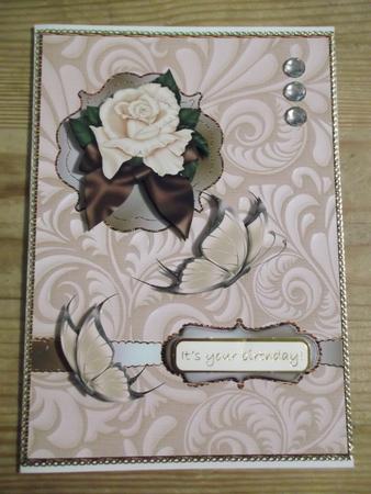 Brown Cream Beauty by Hayley Griffiths