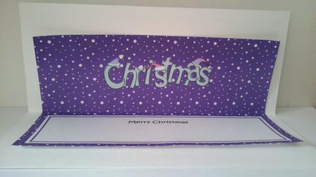 Xmas Merry Christmas Matching Large Dl Insert by Hayley Griffiths