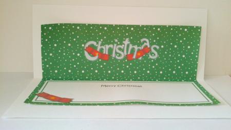 Xmas Merry Christmas Matching Large Dl Insert by Hayley Griffiths