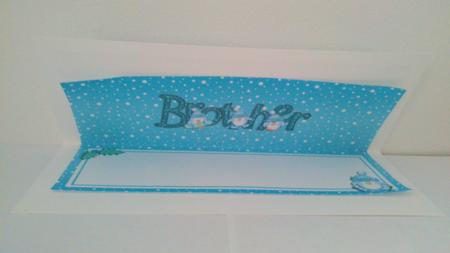 Xmas Brother Matching Large Dl Insert by Hayley Griffiths