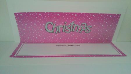 Xmas Merry Christmas Matching Large Dl Insert by Hayley Griffiths