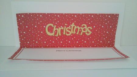 Xmas Merry Christmas Matching Large Dl Insert by Hayley Griffiths