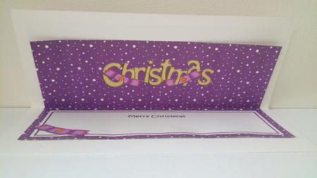 Xmas Merry Christmas Matching Large Dl Insert by Hayley Griffiths