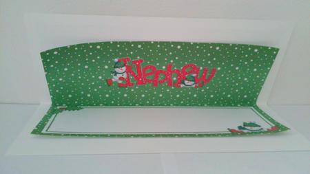 Xmas Nephew Matching Large Dl Insert by Hayley Griffiths