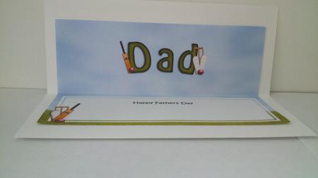 Fathers Day Dad Cricket Large Dl Matching Insert by Hayley Griffiths