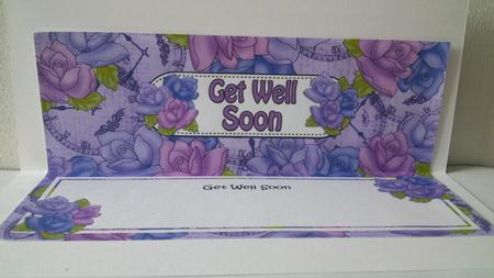 Get Well Soon Matching Large Dl Insert by Hayley Griffiths