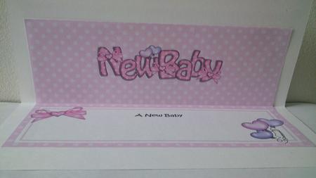 New Baby Matching Large Dl Insert by Hayley Griffiths