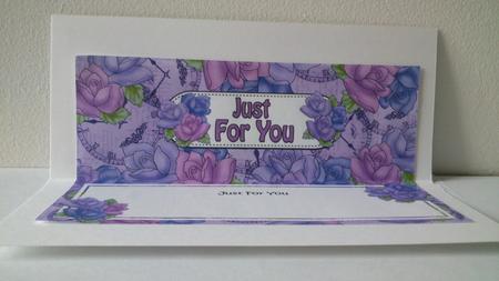 Just for You Large Dl Matching Insert by Hayley Griffiths
