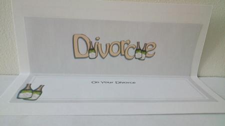 Divorce Matching Large Dl Insert by Hayley Griffiths