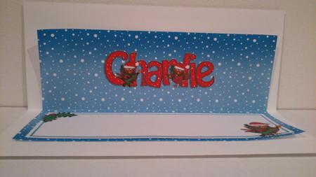 Xmas Charlie Matching Large Dl Insert by Hayley Griffiths