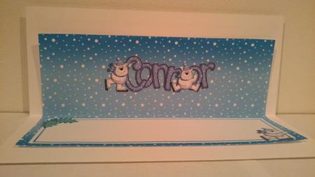 Xmas Connor Matching Large Dl Insert by Hayley Griffiths