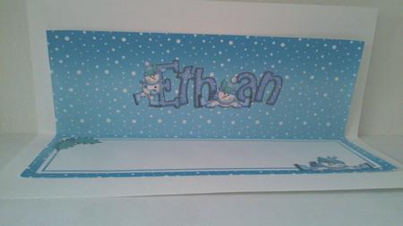 Xmas Ethan Matching Large Dl Insert by Hayley Griffiths