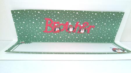 Xmas Brother with Penguins Matching Large Dl Insert by Hayley Griffiths