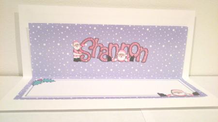 Xmas Shannon Matching Large Dl Insert by Hayley Griffiths