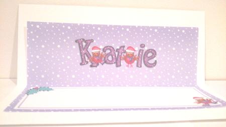 Xmas Katie Matching Large Dl Insert by Hayley Griffiths