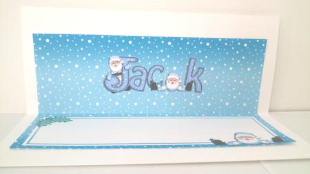 Xmas Jack Matching Large Dl Insert by Hayley Griffiths