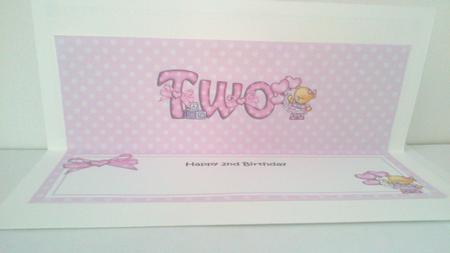 2nd Birthday Large Dl Matching Large Dl Insert by Hayley Griffiths
