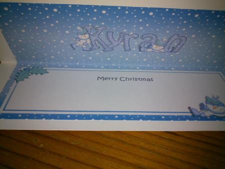 Christmas Kyran Matching Large Dl Insert by Hayley Griffiths