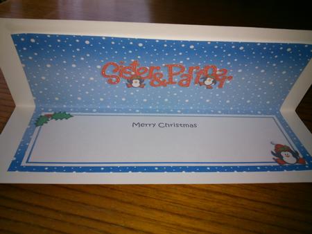 Christmas Sister & Partner Matching Large Dl Insert by Hayley Griffiths