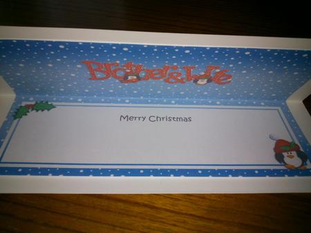 Christmas Brother & Wife Matching Large Dl Insert by Hayley Griffiths