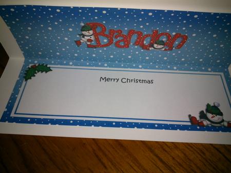 Merry Christmas Brandon Snowmen Matching Large Dl Insert by Hayley Griffiths