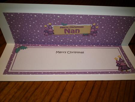Xmas Nan Trees Signpost Large Dl Matching Insert by Hayley Griffiths