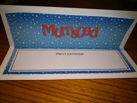 Xmas Mum & Dad Matching Large Dl Insert by Hayley Griffiths