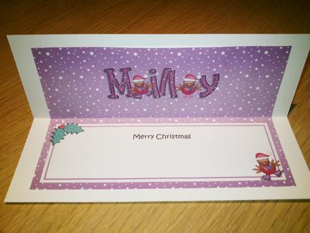 Xmas Milly Robins Matching Large Dl Insert by Hayley Griffiths