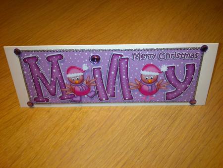 Xmas Milly Robins Large Dl & 3D Decoupage by Hayley Griffiths