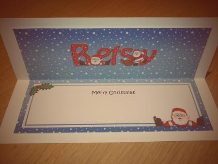 Xmas Betsy Santa Matching Large Dl Insert by Hayley Griffiths