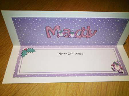 Xmas Maddy Penguins Matching Large Dl Insert by Hayley Griffiths