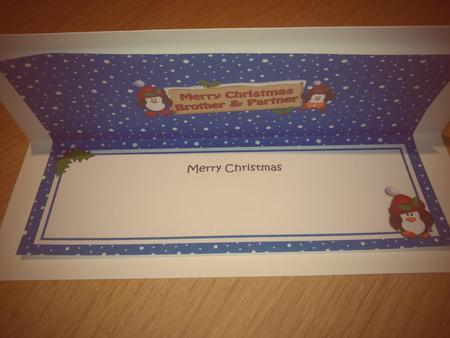 Xmas Brother & Partner Penguins Lge Dl Matching Insert by Hayley Griffiths