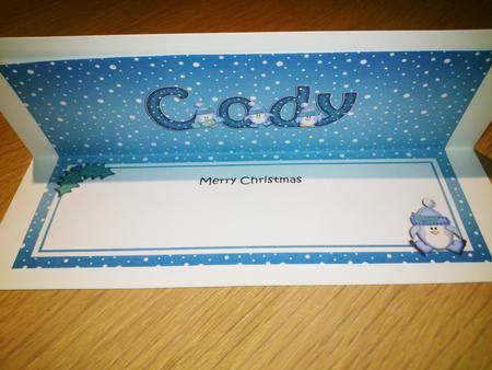 Xmas Cody Penguins Matching Large Dl Insert by Hayley Griffiths