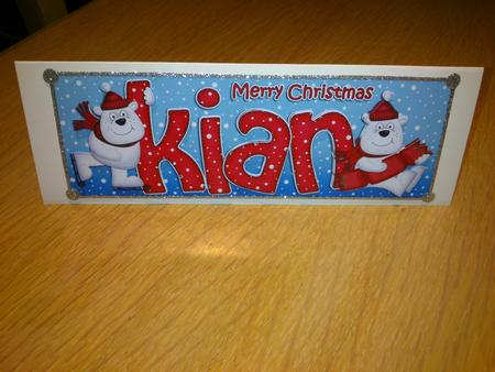 Xmas Kian Polar Bears Large Dl & 3D Decoupage by Hayley Griffiths