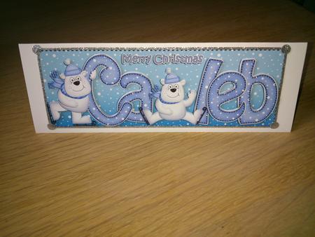 Merry Christmas Caleb Polar Bears Large Dl & 3D Decoupage by Hayley Griffiths