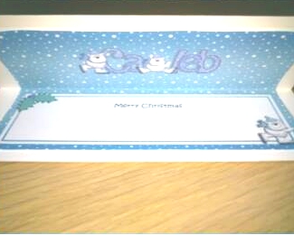 Merry Christmas Caleb Polar Bears Matching Large Dl Insert by Hayley Griffiths