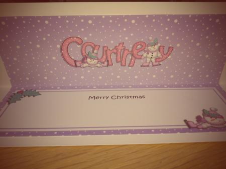 Merry Christmas Courtney Snowmen Matching Large Dl Insert by Hayley Griffiths