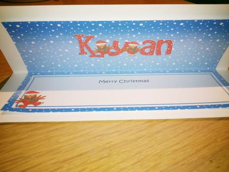 Xmas Kyan Robins Matching Large Dl Insert by Hayley Griffiths