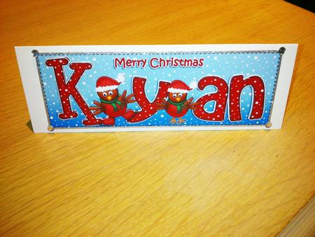 Xmas Kyan Robins Large Dl & 3D Decoupage by Hayley Griffiths
