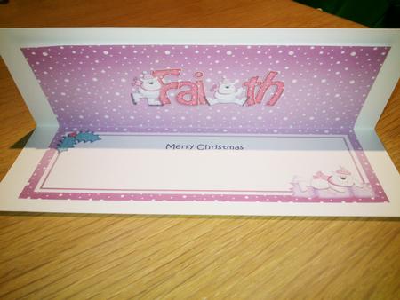 Xmas Faith Polar Bears Matching Large Dl Insert by Hayley Griffiths