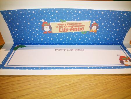 Xmas Lily-anne Penguins Signpost Lge Dl Matching Insert by Hayley Griffiths