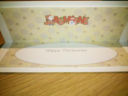 Santa & Snowman Jasmine Large Dl Insert by Hayley Griffiths